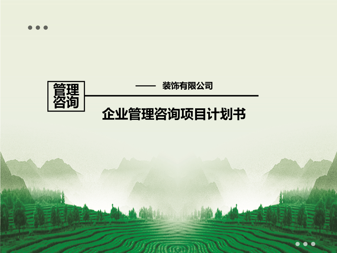 企业管理咨询项目计划书